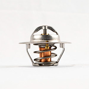 TERMOSTATO FC FC4494469 JEEP GRAND CHEROKEE 5.2 LTS